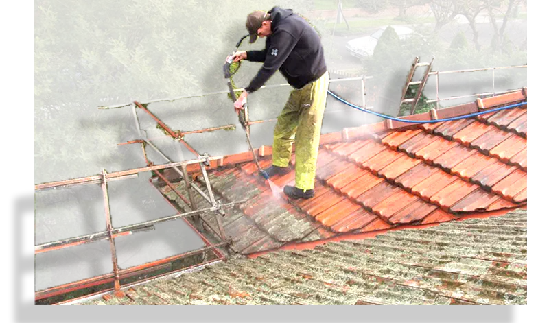 img/carousel/pressure-washing.png